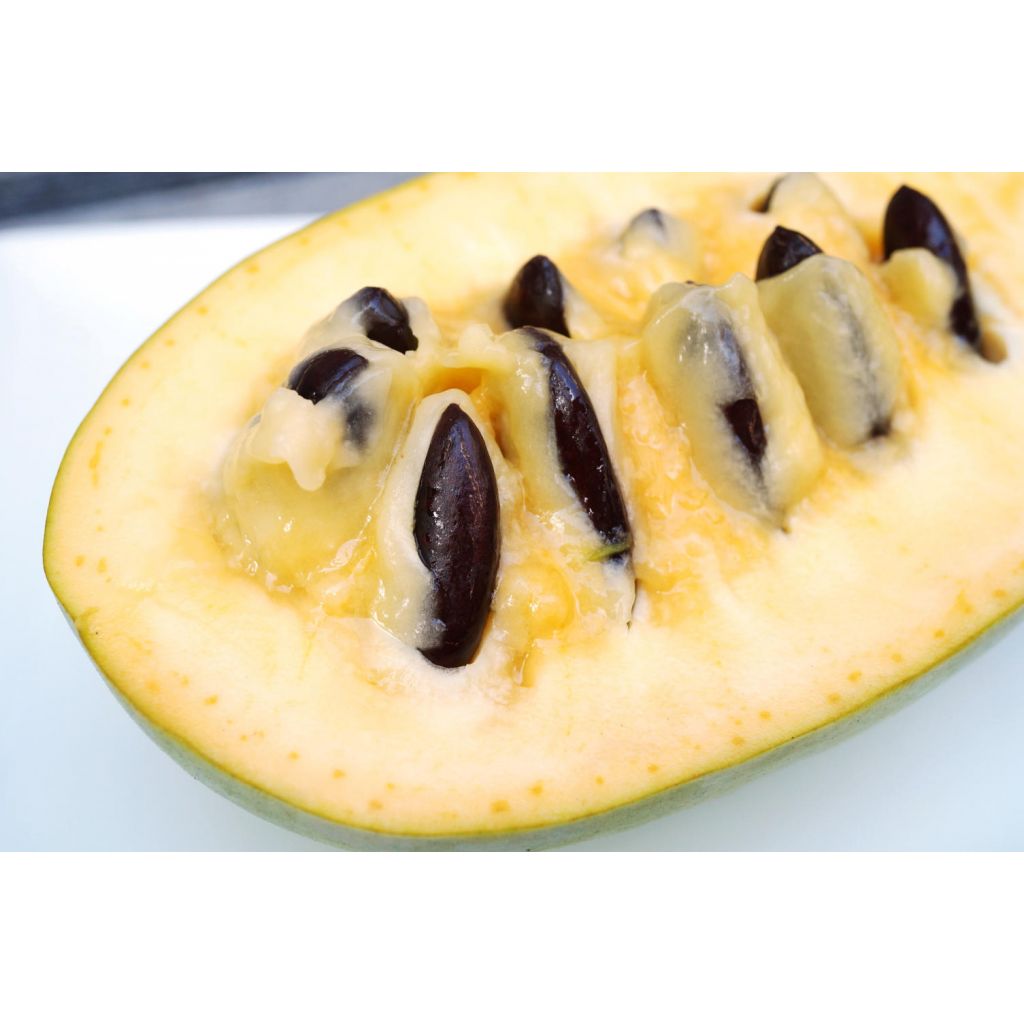 Banana di montagna 1 pz 400g circa - RIVALTA