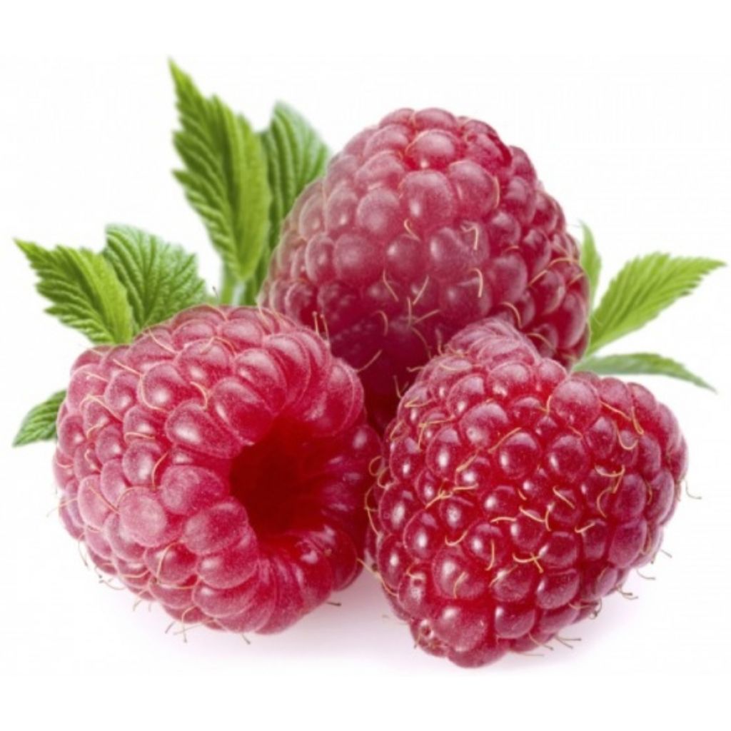 Lamponi 125gr - RIVALTA