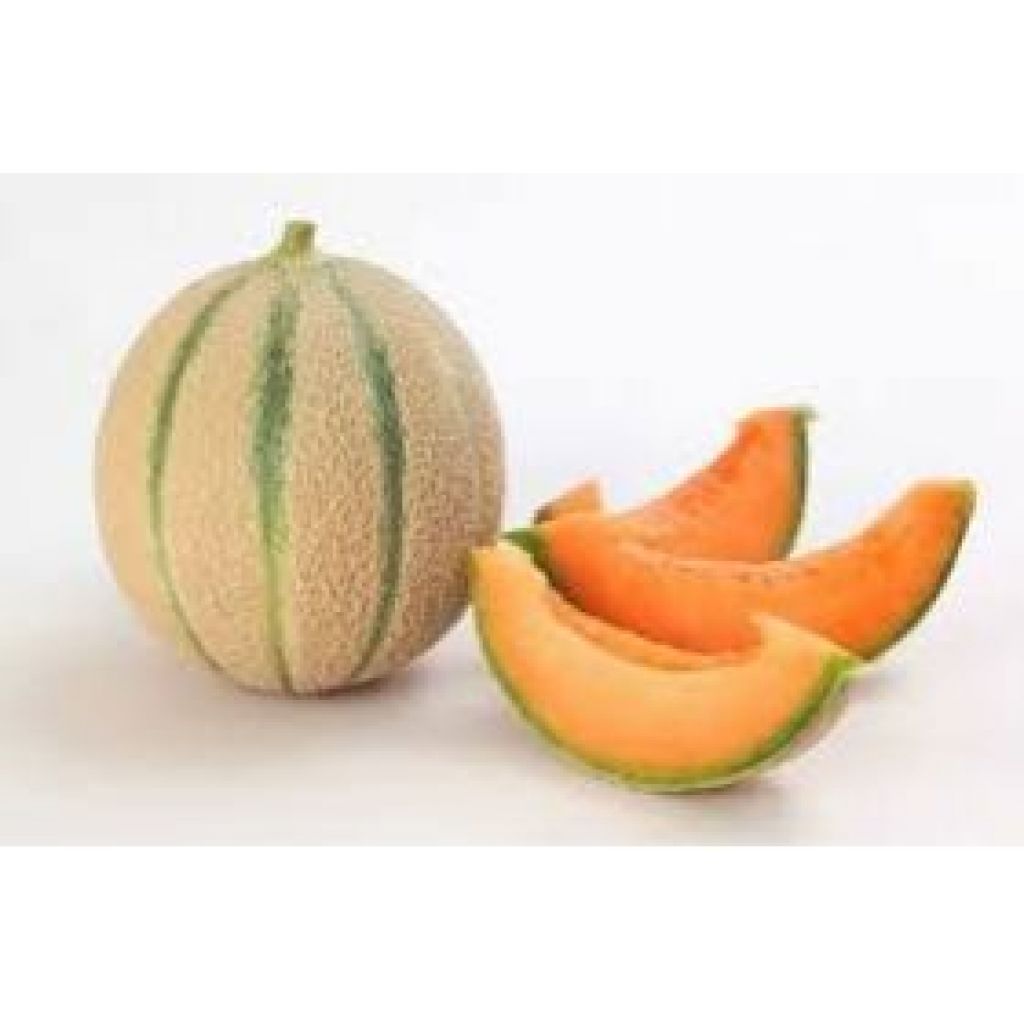 Melone retato (1 pz - Kg. 1,50 circa) - LA SARACCA