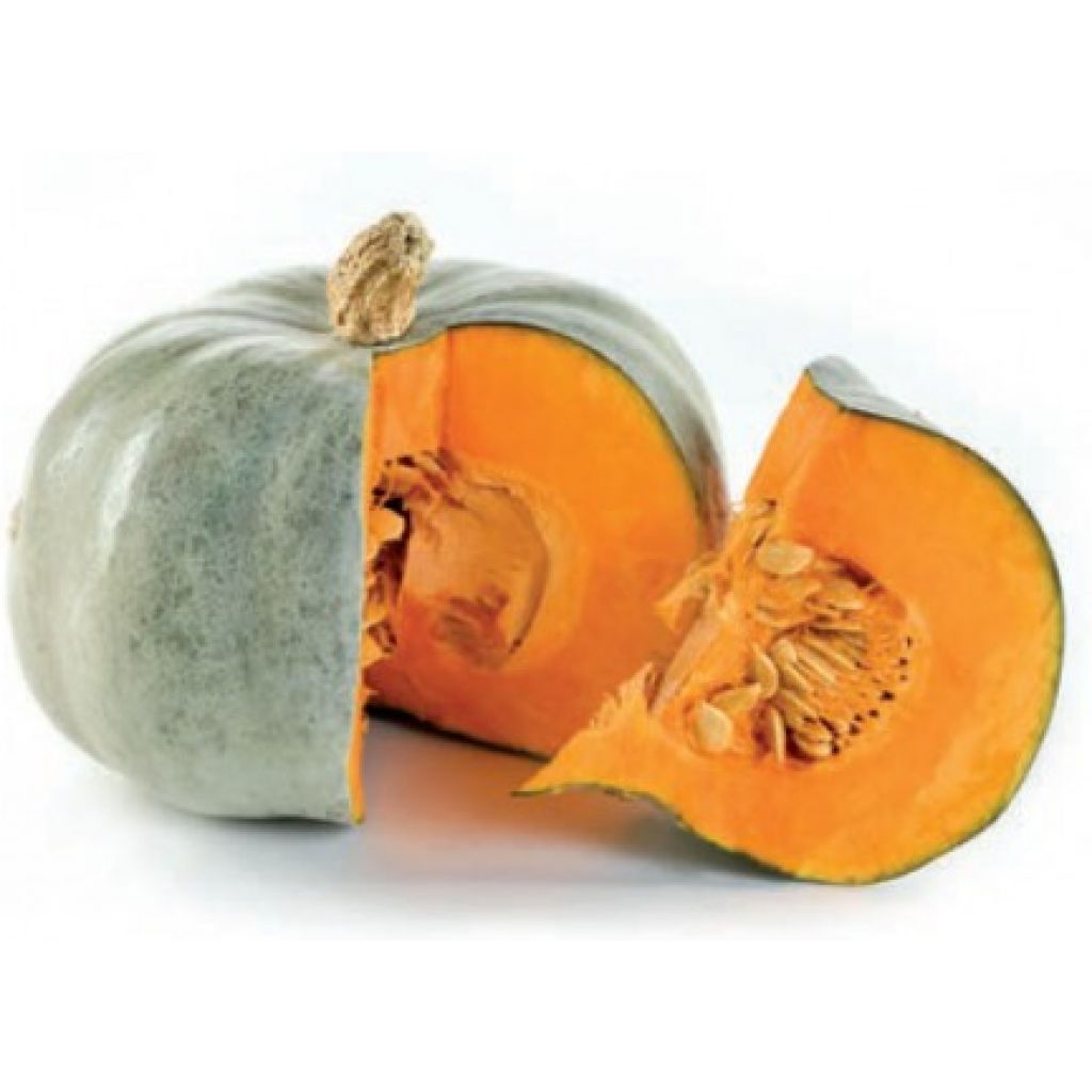 Zucca Vanity (1 pz di circa 1,5kg) - LA SARACCA