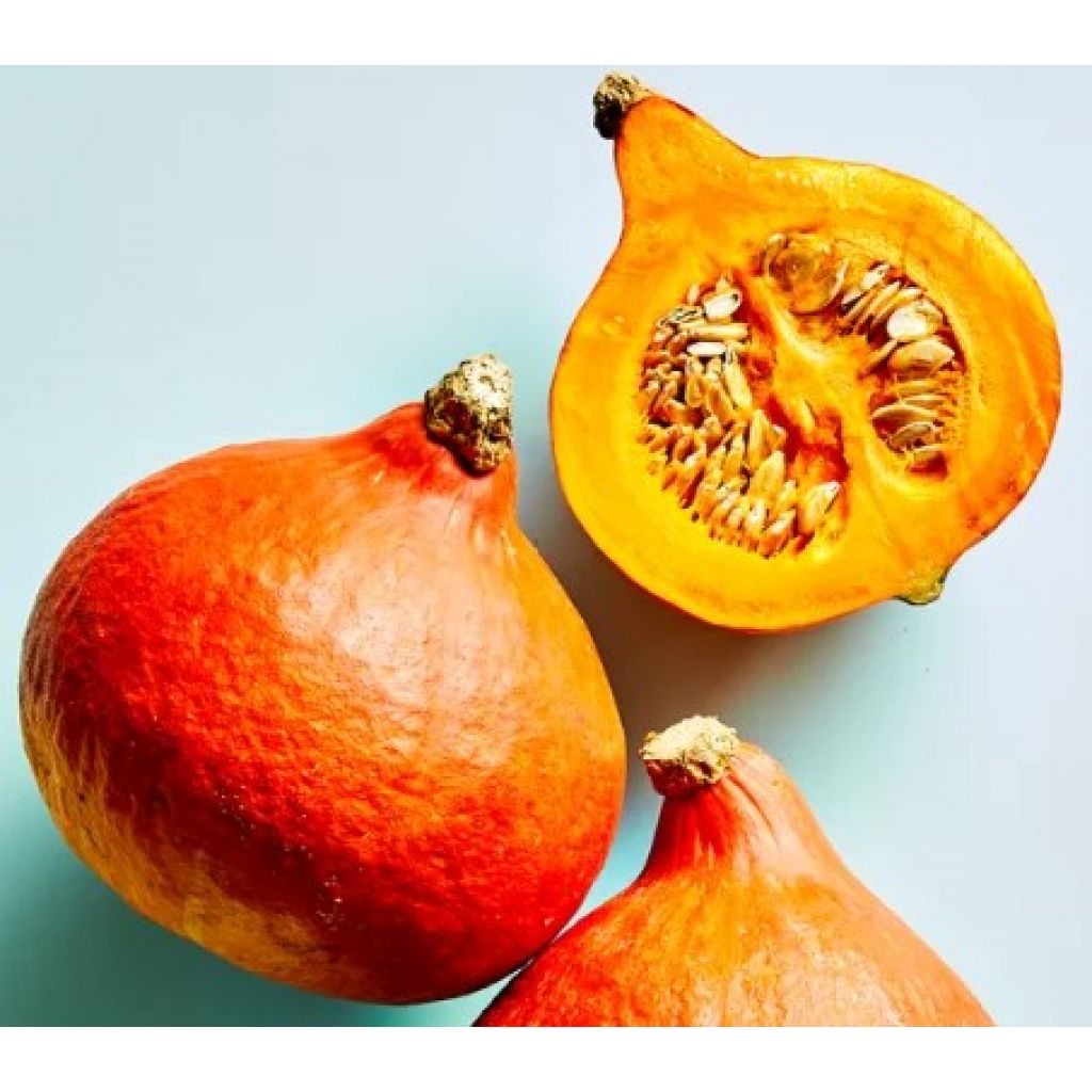 Zucca Hokkaido (1 pz) - LA SARACCA