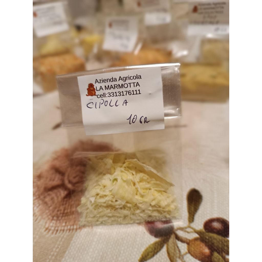 Cipolla essiccata