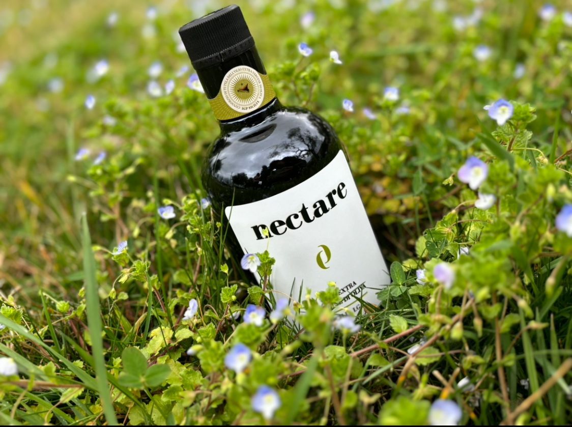 NOVAHERA AGRICOLA S.S.