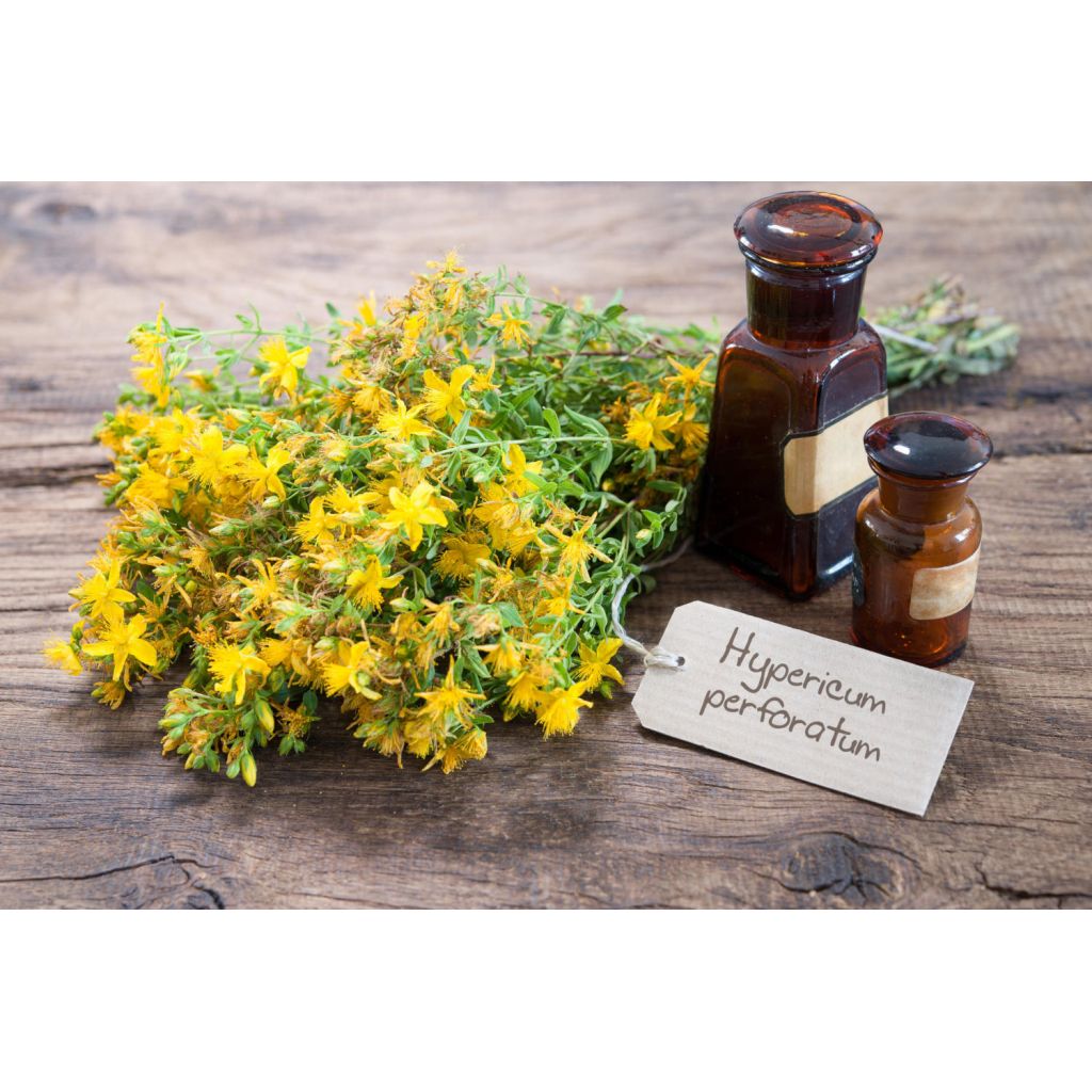 Olio corpo e intimo pelli delicate iperico