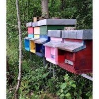 immagine whatsapp 20250424 ore 13.08.35_86df3bf4