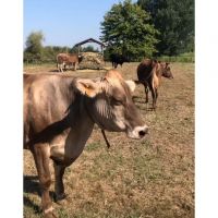 screenshot_20250406_232734