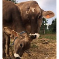 screenshot_20250406_232755