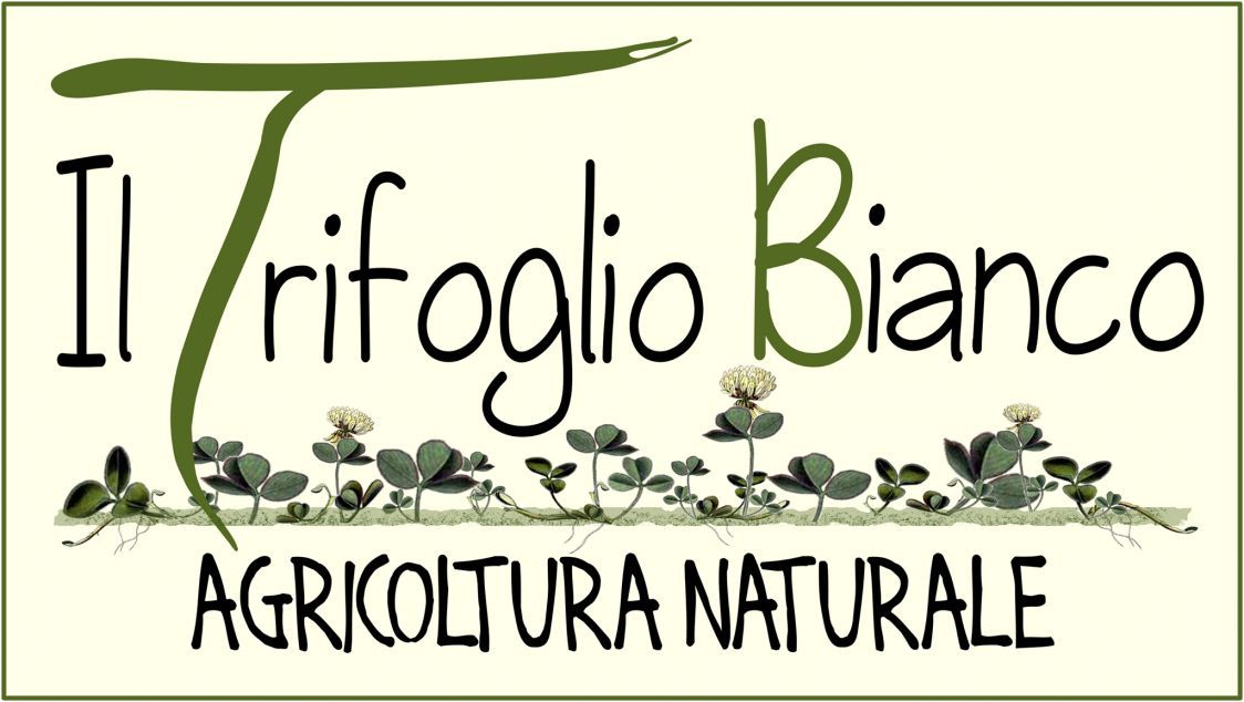 Az. Agr. Il Trifoglio Bianco s.s.
