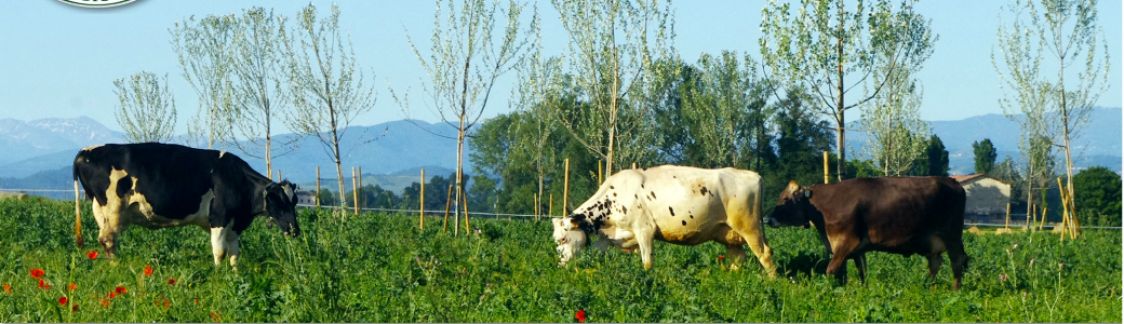 BIOBOTTICELLO AZIENDA AGRICOLA BIOLOGICA