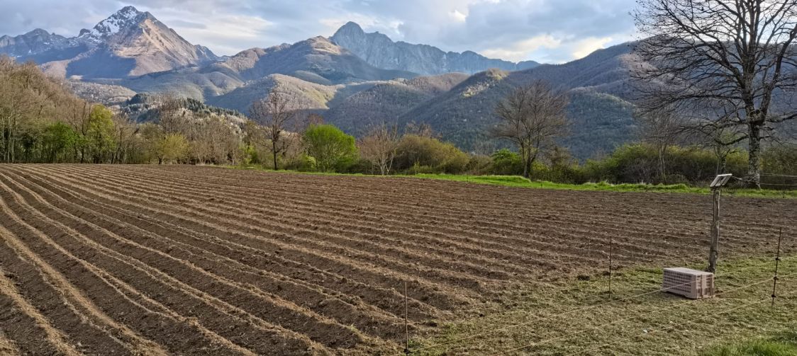 Azienda agricola Bocchi