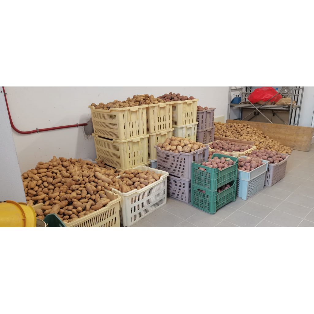 Patate gialle a pasta gialla 1 kg