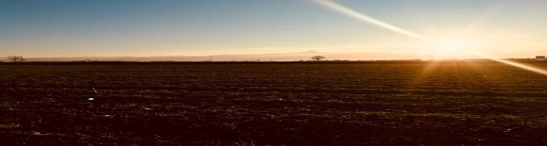 Az.Agr. AGRYLBIO di TARTARA