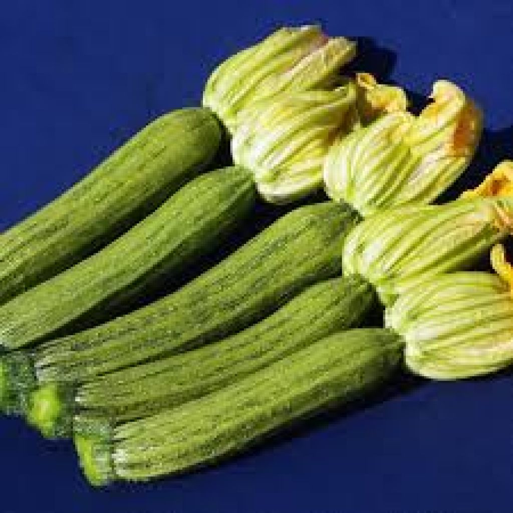 Cassetta zucchine