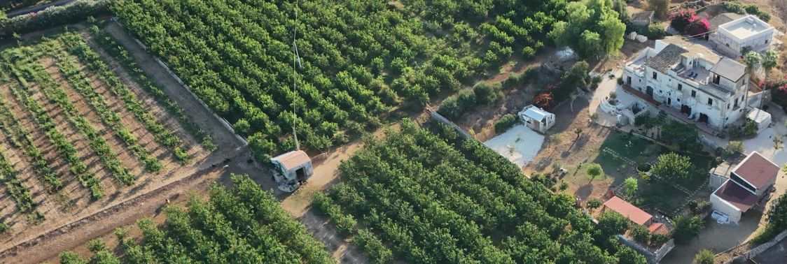 s.s.a. Mater Familias