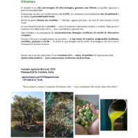 itazienda_agricola_mercuri1929_presentazione_it_pagina_2