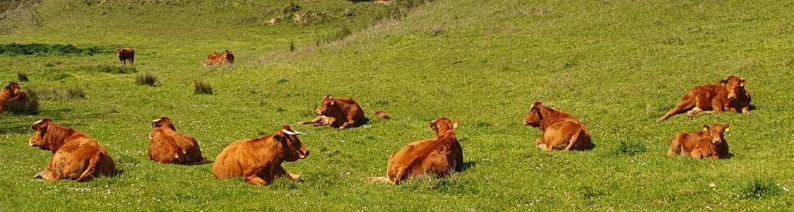 Azienda Agricola Polgara