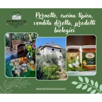 376792656_801787258617654_6570829798090952120_n