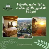 376897074_803311965131850_6683884872671113159_n