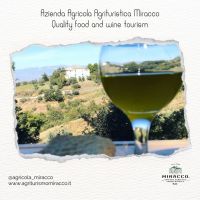 384193607_815963823866664_1057443839289874002_n