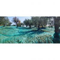 394273014_827935796002800_8239460028973046188_n