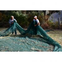 394290210_830413089088404_1495679574951547764_n