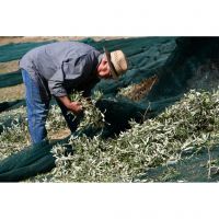 394595746_830413012421745_5192764355898669105_n