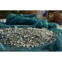 394614094_830413385755041_6010828843883109284_n