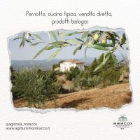 397492048_835361281926918_7191220706218490121_n