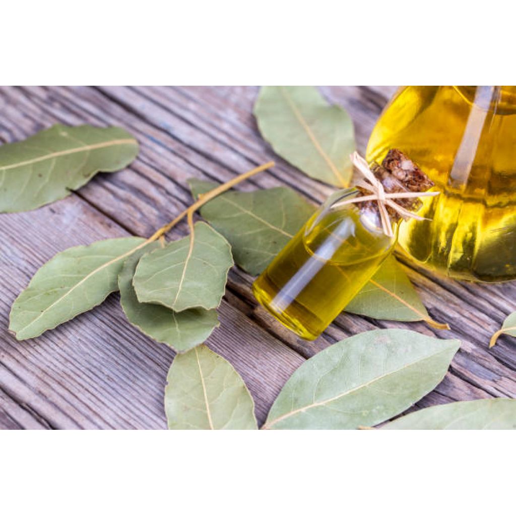 Oleolito di Alloro 30 ml.