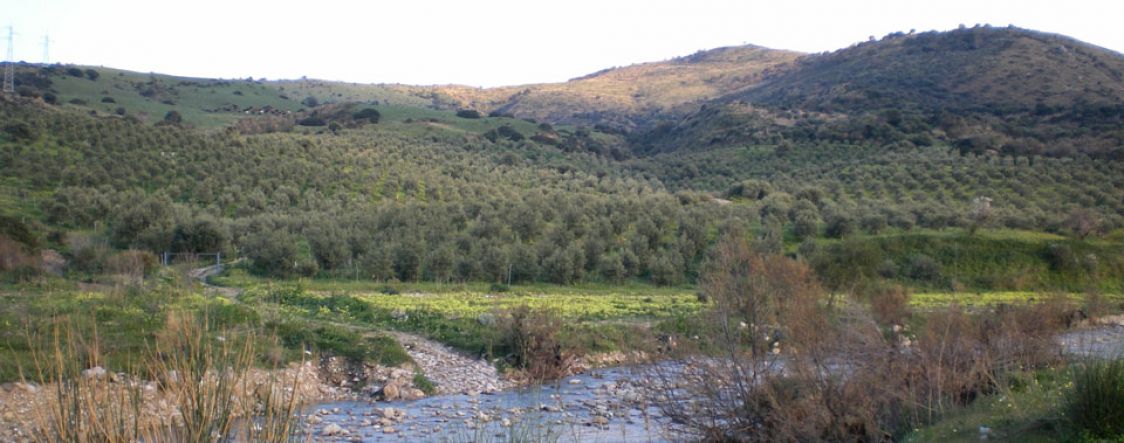 Azienda Agricola D'Angelo Giuseppe