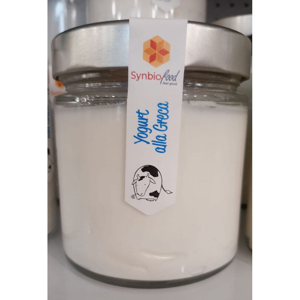 YOGURT ALLA GRECA 300 GR