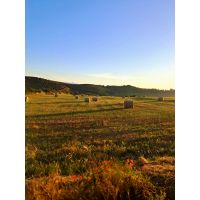 whatsapp image 20250624 at 21.59.07