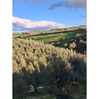 whatsapp image 20250624 at 22.06.06 3