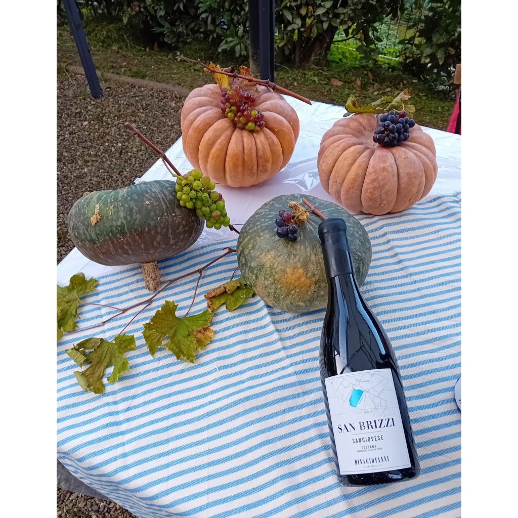 Vino SAN BRIZZI 2021 &ndash; IGT Toscana