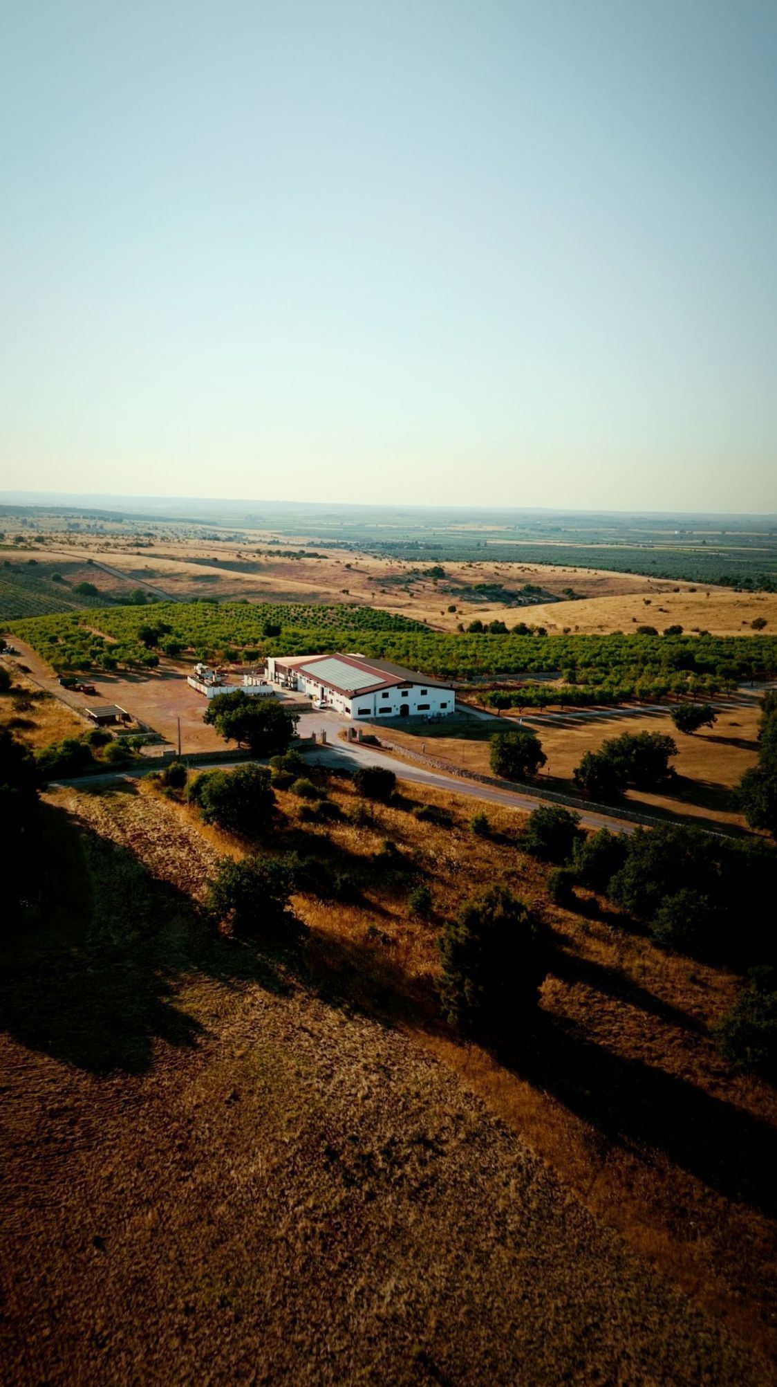FATTORIA DELLA MANDORLA