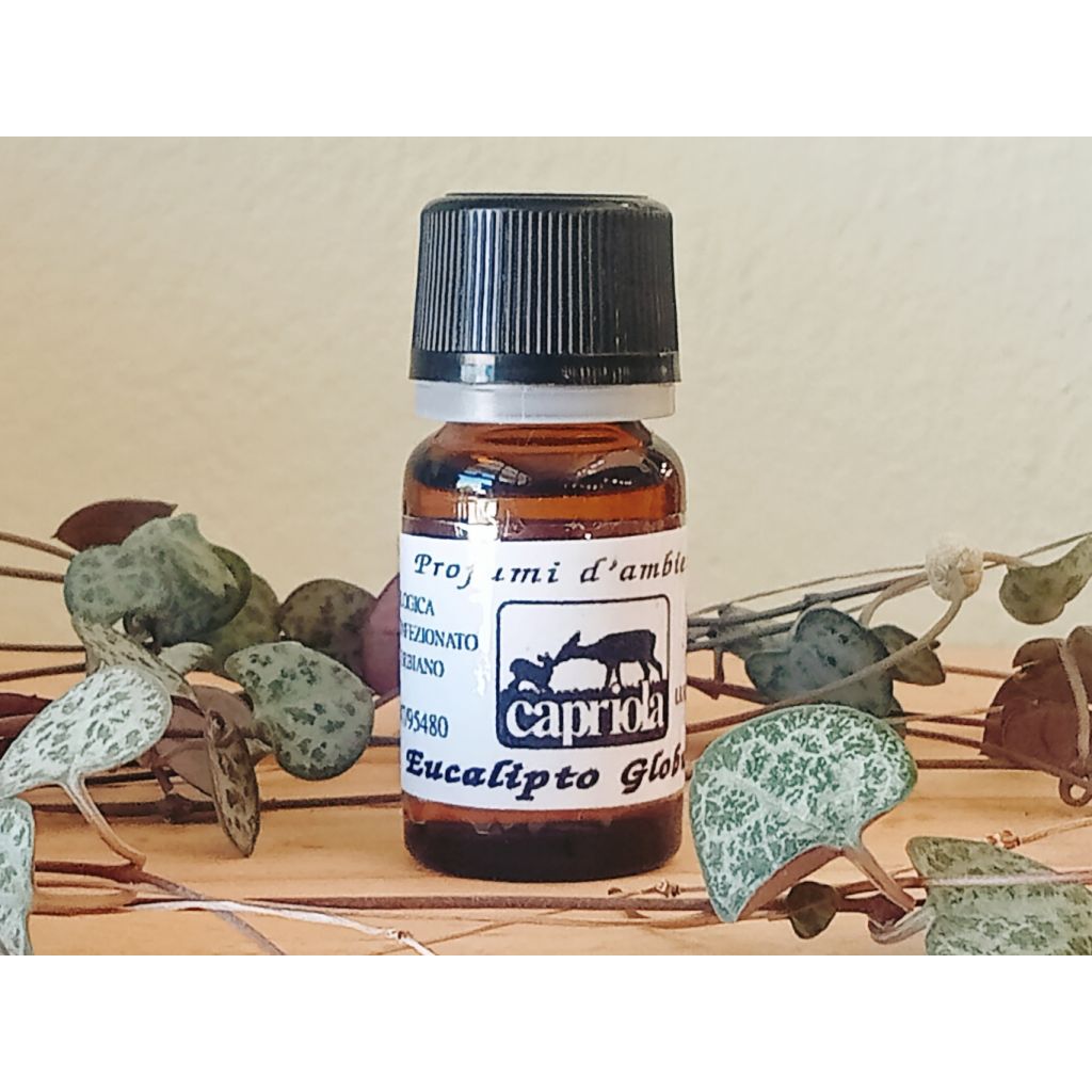O.E. EUCALIPTO 7 ML
