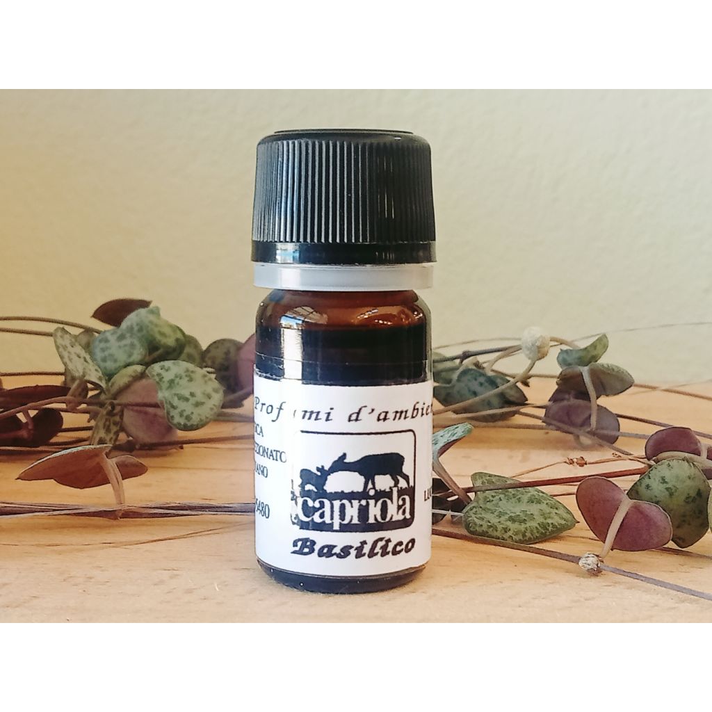 O.E BASILICO 5 ML