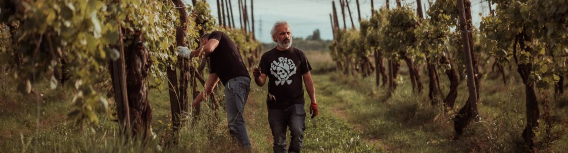 Azienda Agricola Perseveranza