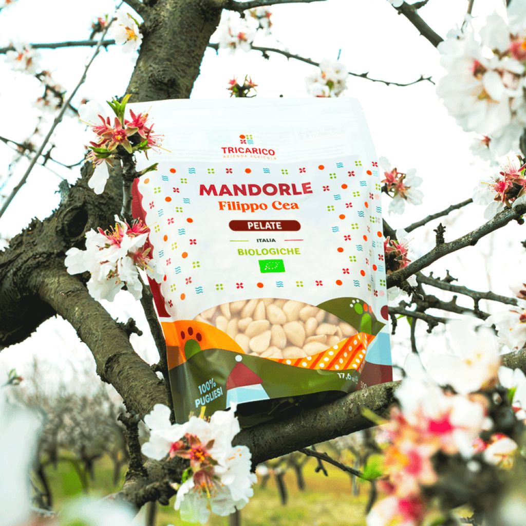 Mandorle Bio Filippo Cea pelate &ndash; Busta 500 g