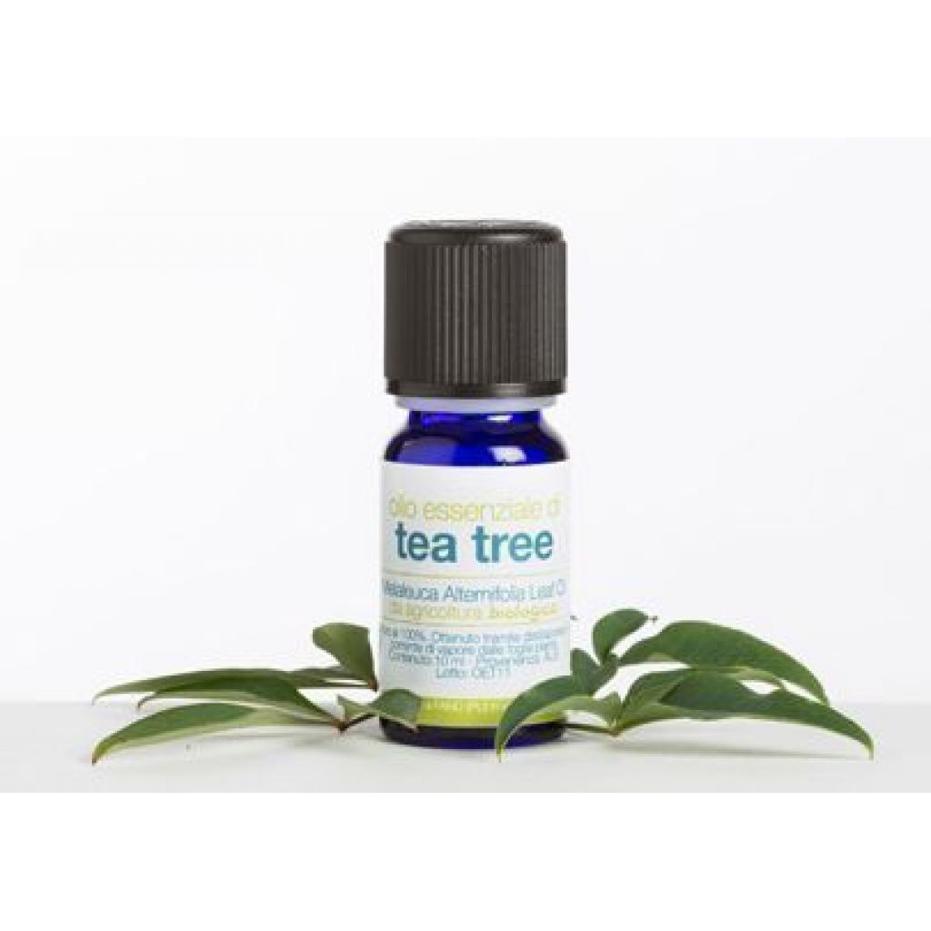 Olio essenziale di tea tree Bio - 10 ml