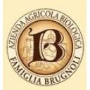 Azienda agricola F.lli Brugnoli