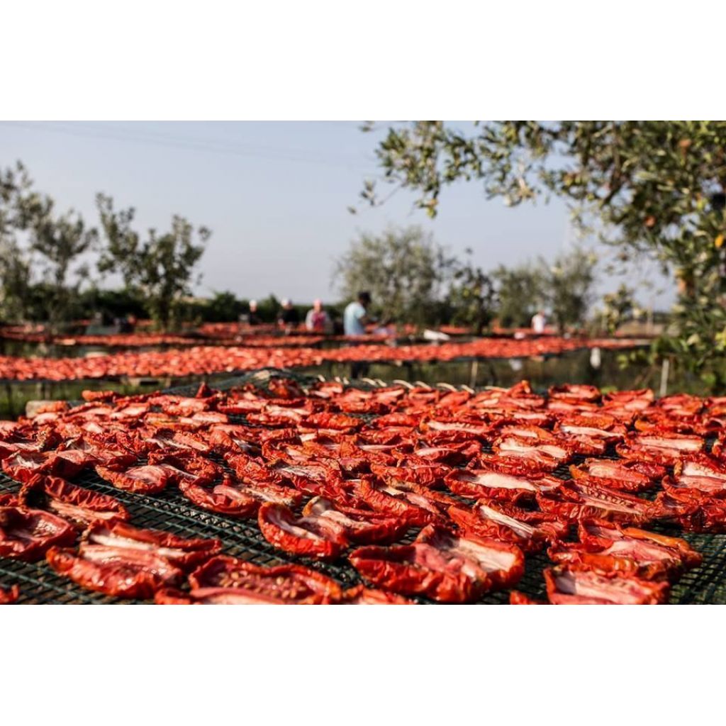 DRIED TOMATOES - 10 Kg