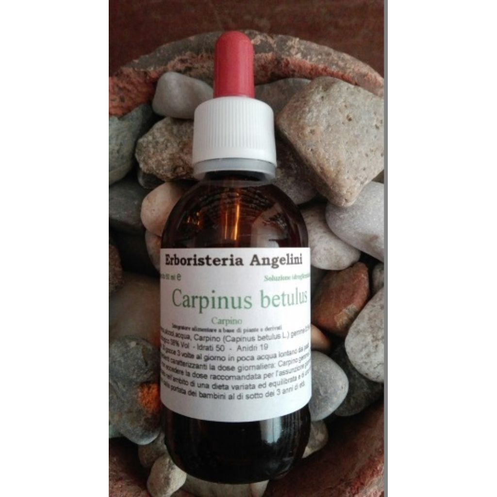 Carpinus betulus 50ml