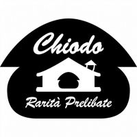 logo_chiodo_quadrato