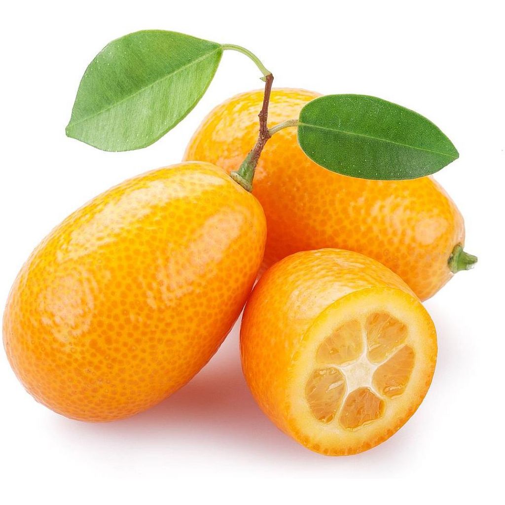 Kumquat BIO (mandarini cinesi) Origine: Italia - cestello da 4 Kg