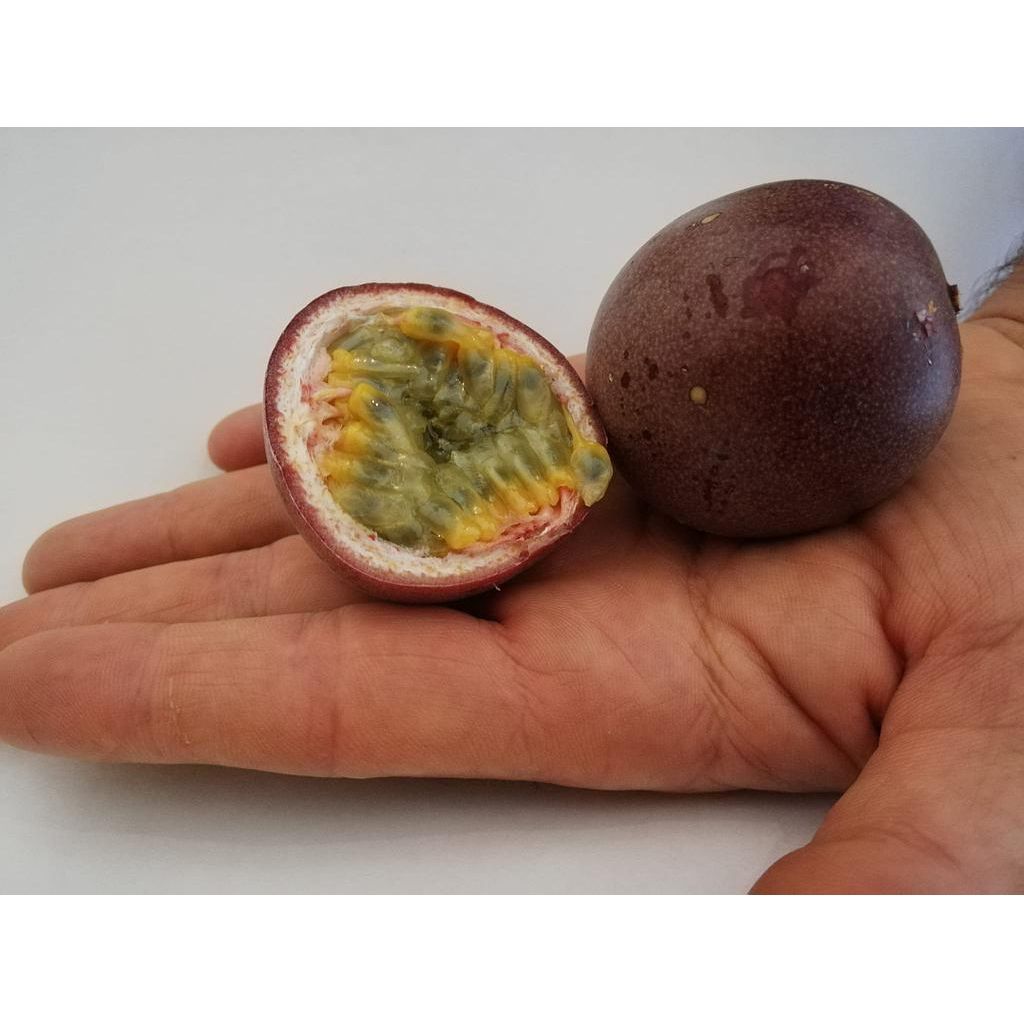 Maracujia frutti piccoli 30 pz - Origine Italia