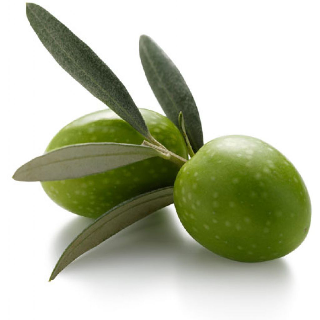 Olive Verdi BIO Bella di Spagna da cunzare Origine Italia cestello da 6 Kg