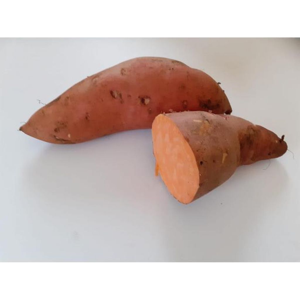 Batate rosse patate dolci Origine Italia - cestello da 6 Kg