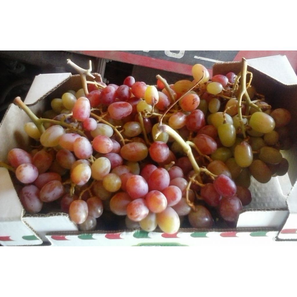 Cartone misto uva crimson/melissa - 2 Kg
