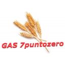 GAS7puntozero